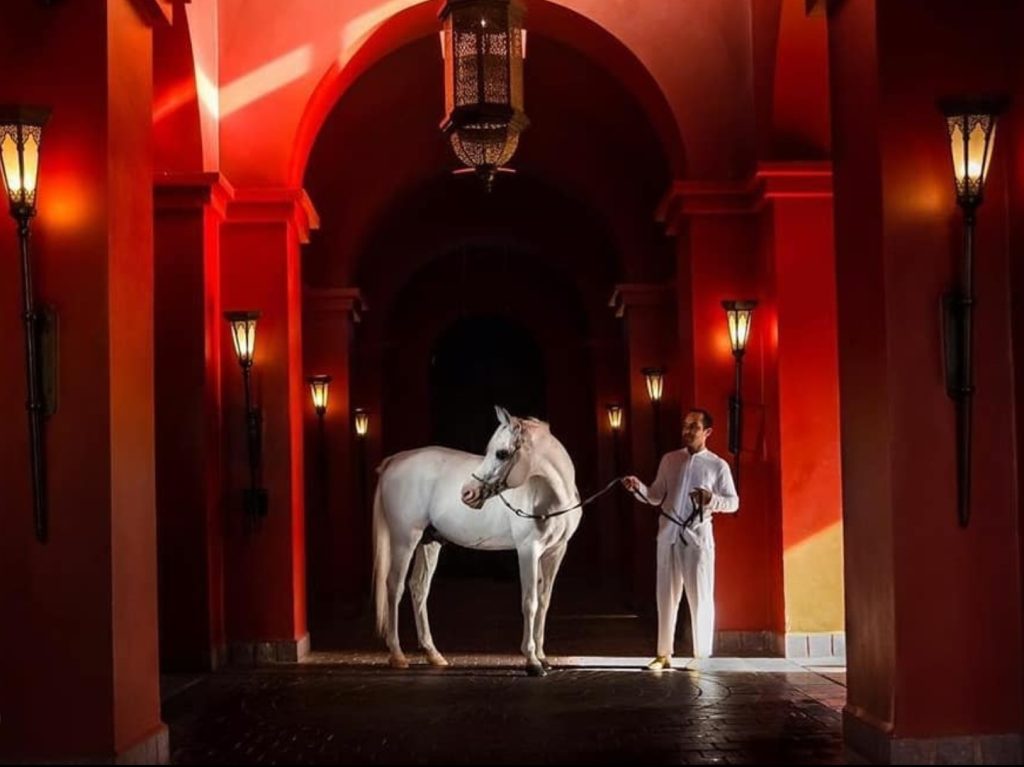 Se marier à Marrakech - Wedding planner Marrakech