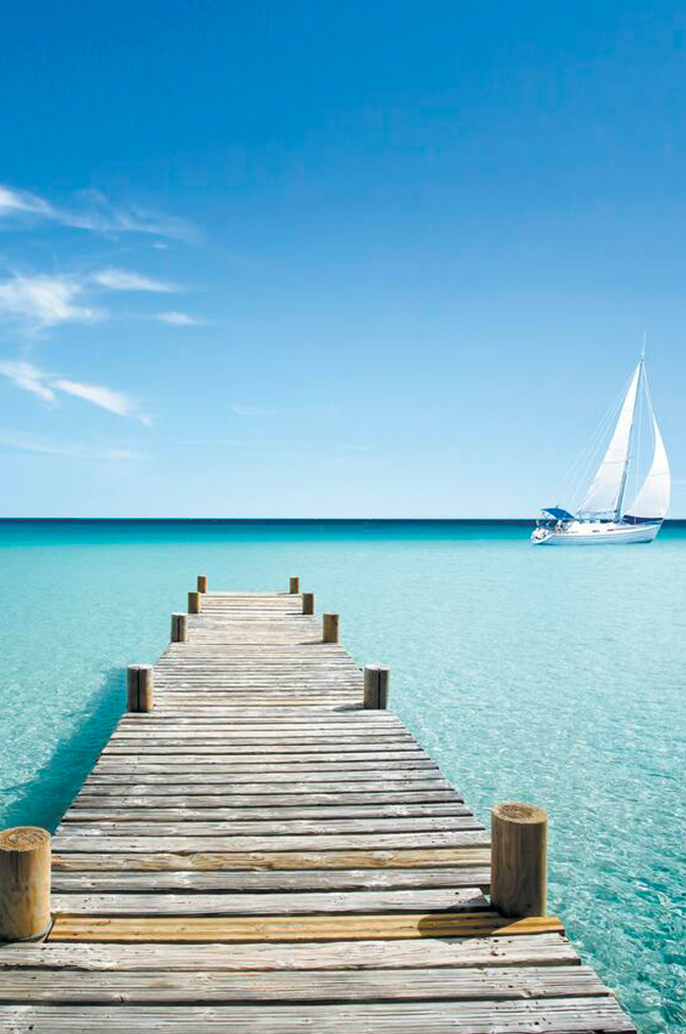 Se-marier-à-The-Brando-ile-privée-polynésie-française-wedding-planner-polynésie-française-wedding-planner-bora-bora-luxury-wedding-bora-bora- luxury-wedding-ile-privée