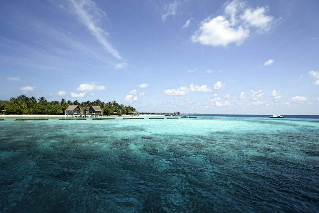 Se-marier-à-Constance-Moofushi-aux-Maldives, mariage-de-luxe-intimiste-poétique-par-Luxury-Events-Agency-dans-un-atoll-préservé, Wedding-planner-Maldives-Wedding-planner-de-luxe-Maldives-Luxury-events-agency-Maldives
