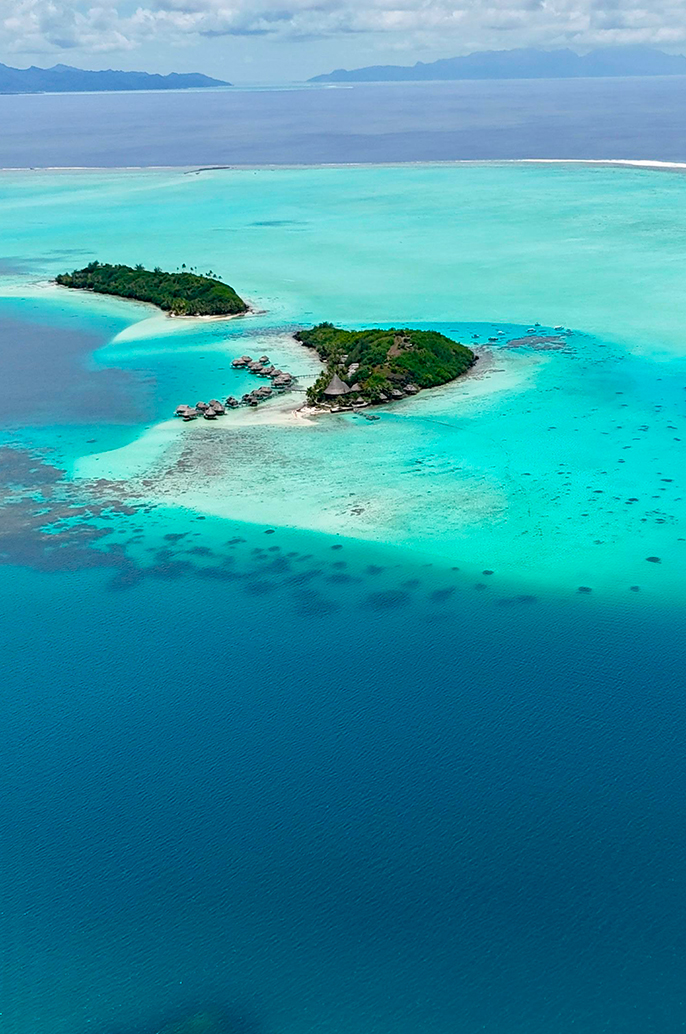 Se-marier-à-The-Brando-ile-privée-polynésie-française-wedding-planner-polynésie-française-wedding-planner-bora-bora-luxury-wedding-bora-bora- luxury-wedding-ile-privée